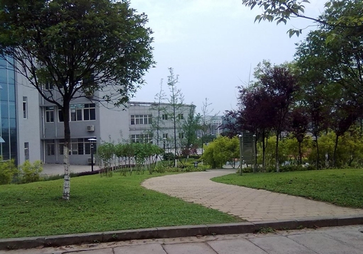 p00054292_800