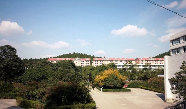 学校环境