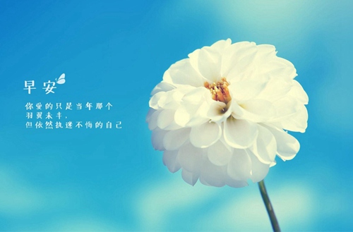密云县职业学校2024年招生简章