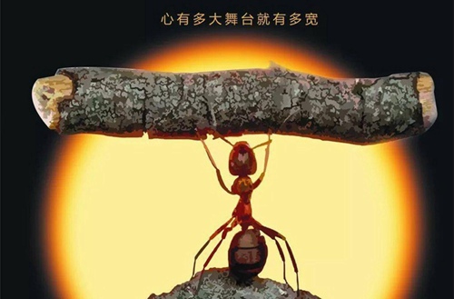 合江县福宝职业中学2024年招生简章