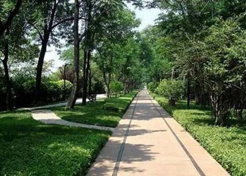 四川商务学校2024年招生简章