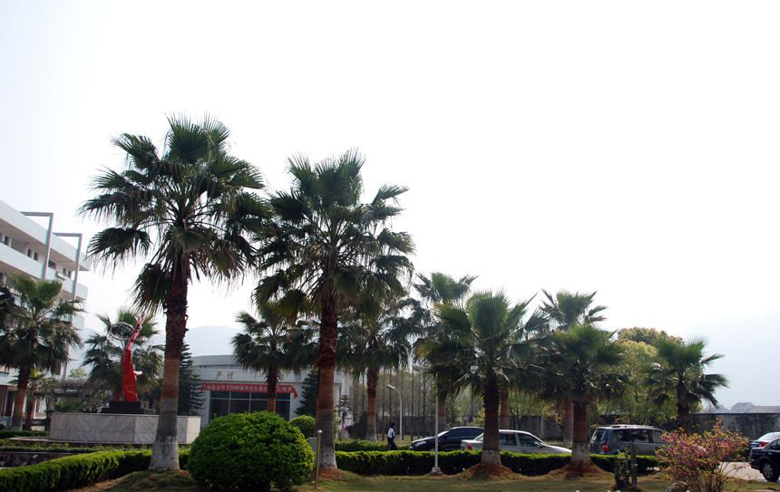 天津市河北区职工中等专业学校,河北区职工中等专业学校,职工中等专业学校