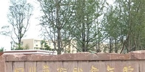 四川艺术职业学院